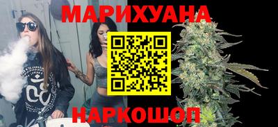 индика Гатчина