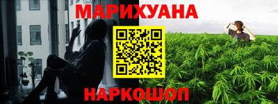 индика Гатчина