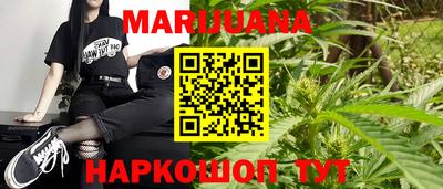 индика Гатчина
