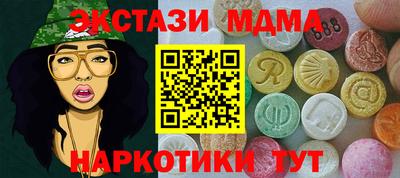 индика Гатчина