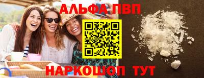 индика Гатчина