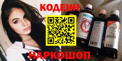 индика Гатчина
