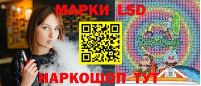 индика Гатчина