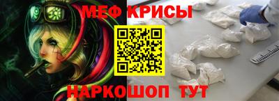 индика Гатчина