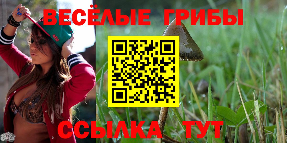 Галлюциногенные грибы мухоморы  Вход с VPN  Мегион 